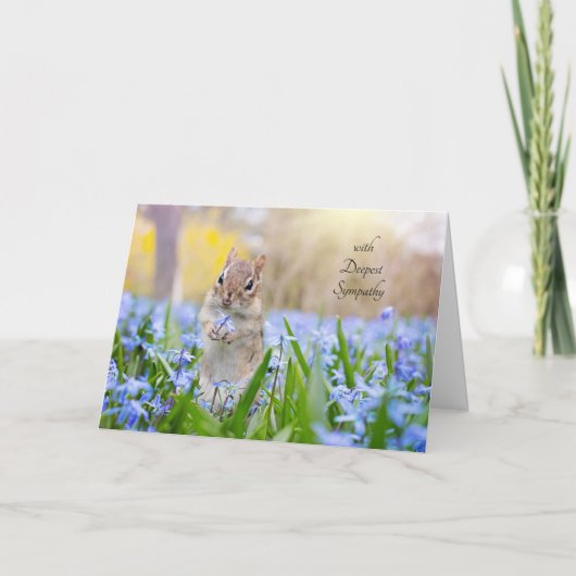 Chipmunk Sympathy Card (Bearbeitungsnachricht anpa Karte (Vorderseite)