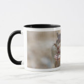 Chipmunk-Tasse Tasse (Links)