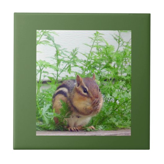 Chipmunk Tile Fliese (Vorderseite)