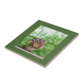 Chipmunk Tile Fliese (Seite)