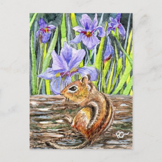 Chipmunk und Iris Postkarte (Vorderseite)