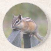 Chipmunk Untersetzer (Vorne)