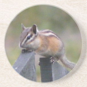 Chipmunk Untersetzer