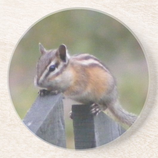 Chipmunk Untersetzer (Vorne)