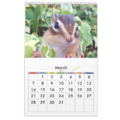 Chipmunk (USA) Kalender (Mär 2027)