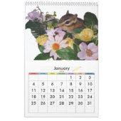 Chipmunk (USA) Kalender (Jan 2026)