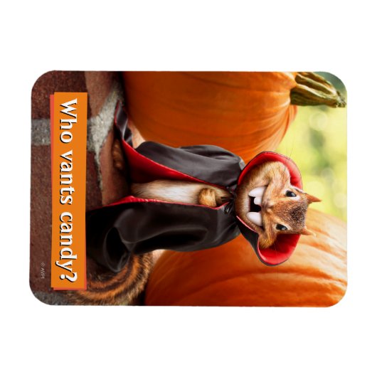 Chipmunk Vampire Magnet (Horizontal)