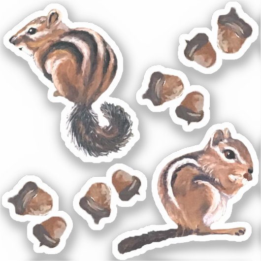 Chipmunk Vinyl Stickers Aufkleber (Vorderseite)