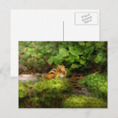 Chipmunk - Was für eine Süsse Postkarte (Vorne/Hinten)