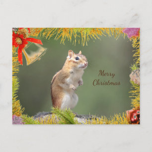Chipmunk Weihnachtskarte Feiertagspostkarte