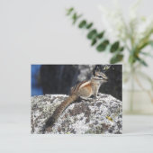Chipmunk, wild lebende Tiere, Postkarte (Stehend Vorderseite)