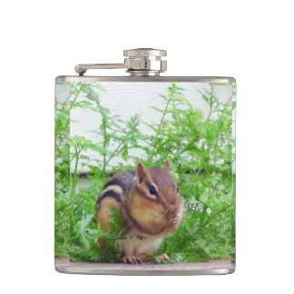 Chipmunk wild life flachmann