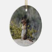 Chipmunk, Wildtiere, Keramik Ornament (Rechts)