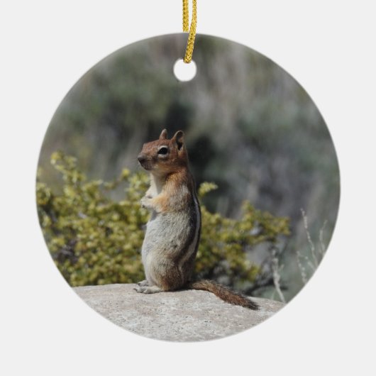 Chipmunk, Wildtiere, Keramik Ornament (Vorne)