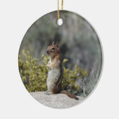Chipmunk, Wildtiere, Keramik Ornament (Links)