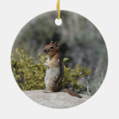 Chipmunk, Wildtiere, Keramik Ornament (Hinten)