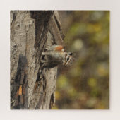 Chipmunk, Wildtiere, Puzzle (Horizontal)