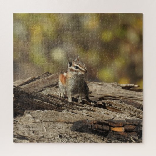 Chipmunk, Wildtiere, Puzzle (Vertikal)