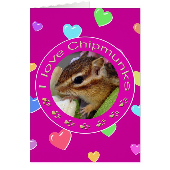 chipmunks (Vorne)