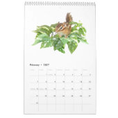 chipmunk's calendar  (All countries) Kalender (Feb 2027)