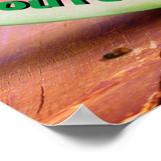 Chipmunks Eating Watermelon Poster (Ecke)