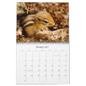 Chipmunks! Ein überaus Niedlicher Wall-Kalender Kalender (Jan 2027)