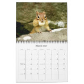 Chipmunks! Ein überaus Niedlicher Wall-Kalender Kalender (Mär 2027)