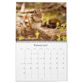 Chipmunks! Ein überaus Niedlicher Wall-Kalender Kalender (Feb 2027)