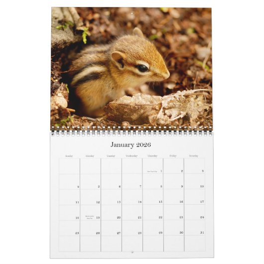 Chipmunks! Ein überaus Niedlicher Wall-Kalender Kalender (Jan 2026)