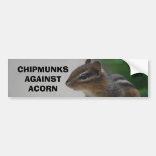 Chipmunks gegen Eichel-Autoaufkleber Autoaufkleber
