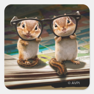 Chipmunks in Reading Glasses Quadratischer Aufkleber