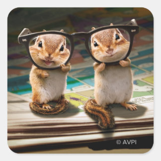 Chipmunks in Reading Glasses Quadratischer Aufkleber