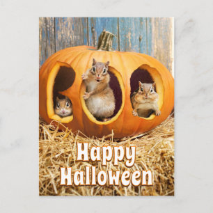 Chipmunks Inside Boo Jack-o-Lantern Einladungspostkarte