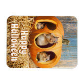Chipmunks Inside Boo Jack-o-Lantern Magnet (Horizontal)