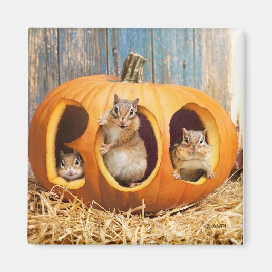 Chipmunks Inside Boo Jack-o-Lantern Magnet (Vorne)