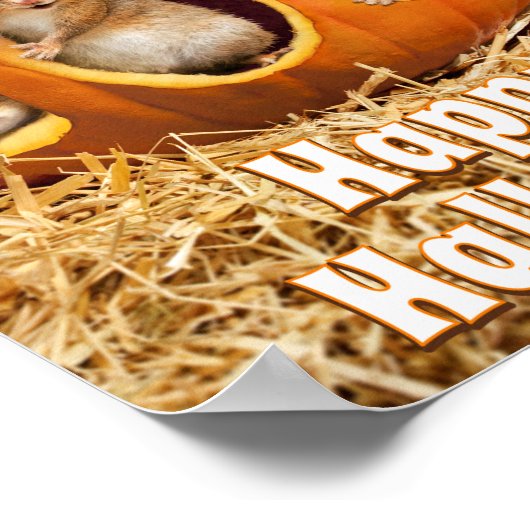 Chipmunks Inside Boo Jack-o-Lantern Poster (Ecke)