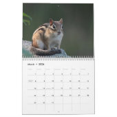 Chipmunks Kalender (Mär 2026)