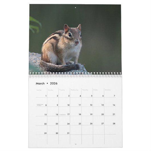 Chipmunks Kalender (Mär 2026)