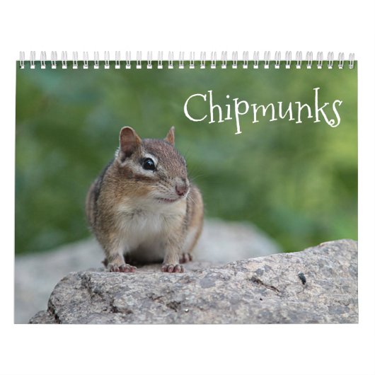 Chipmunks Kalender (Titelbild)