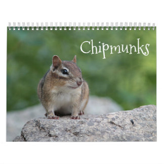 Chipmunks Kalender