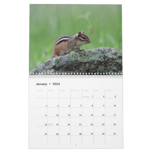 Chipmunks Kalender (Jan 2026)