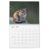 Chipmunks Kalender (Mär 2027)
