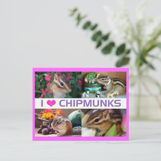 Chipmunks pohto postkarte (Stehend Vorderseite)