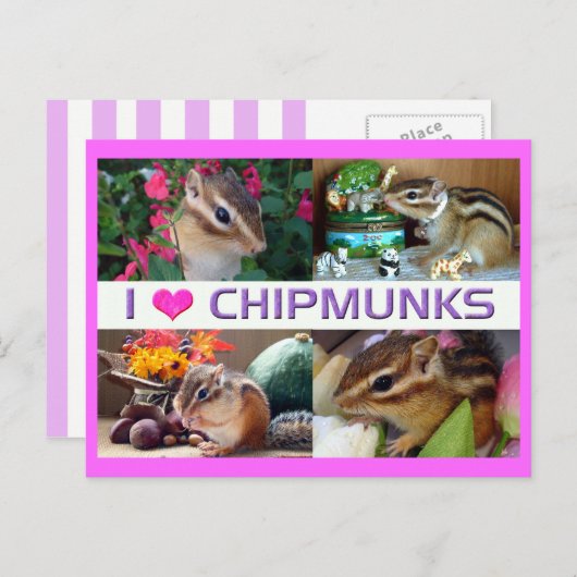 Chipmunks pohto postkarte (Vorne/Hinten)