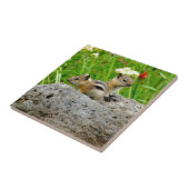 Chipmunks und Wildblumen Fliese (Seite)