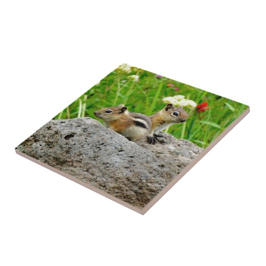 Chipmunks und Wildblumen Fliese (Seite)