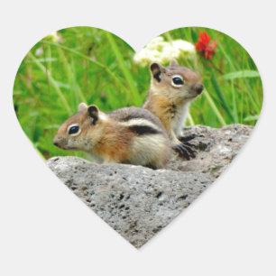 Chipmunks und Wildblumen Herz-Aufkleber