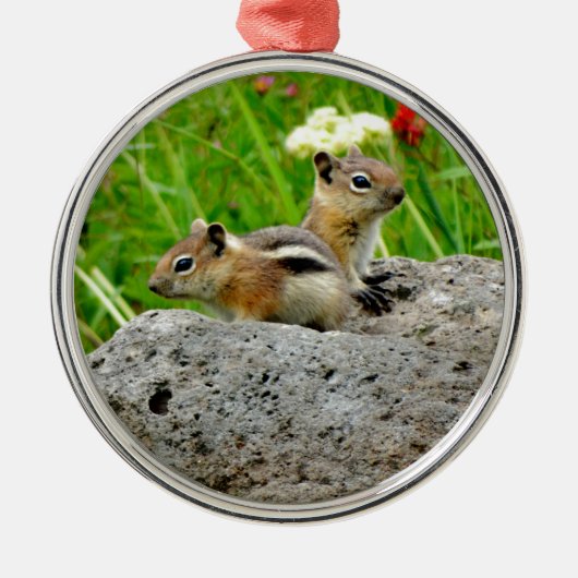 Chipmunks und Wildblumen Ornament Aus Metall (Vorne)