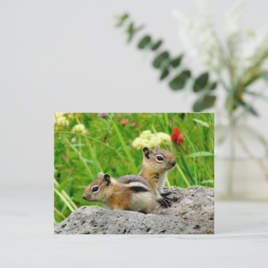 Chipmunks und Wildblumen Postkarte (Stehend Vorderseite)