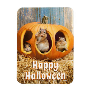 Chipmunkte Inside Boo Jack-o-Lantern Magnet